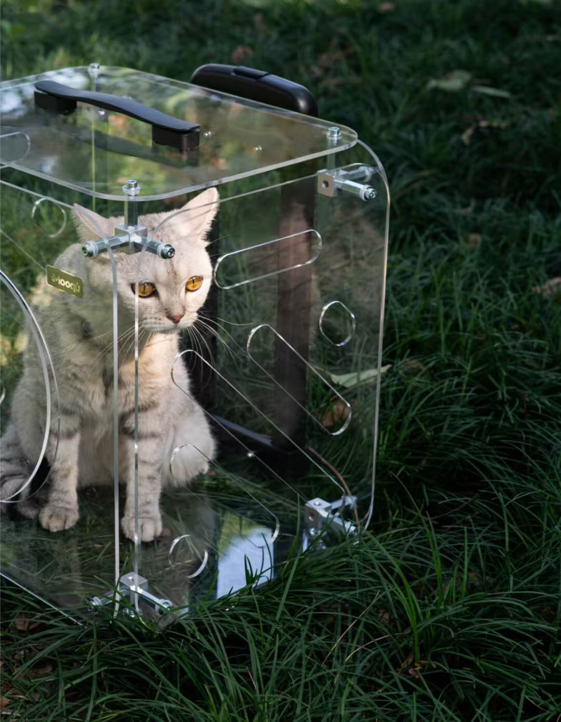 Outdoor Pet Box Solutions in Los Angeles: Safe Adventures for Cats & Dogs